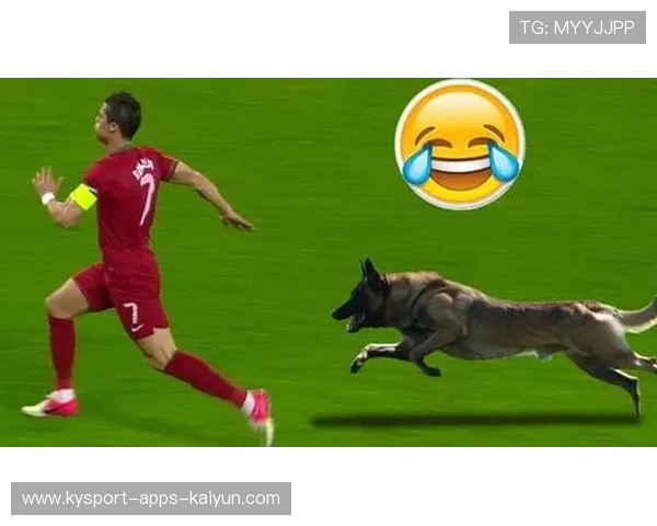 花样滑冰表演被狗乱入抢镜，引爆全网