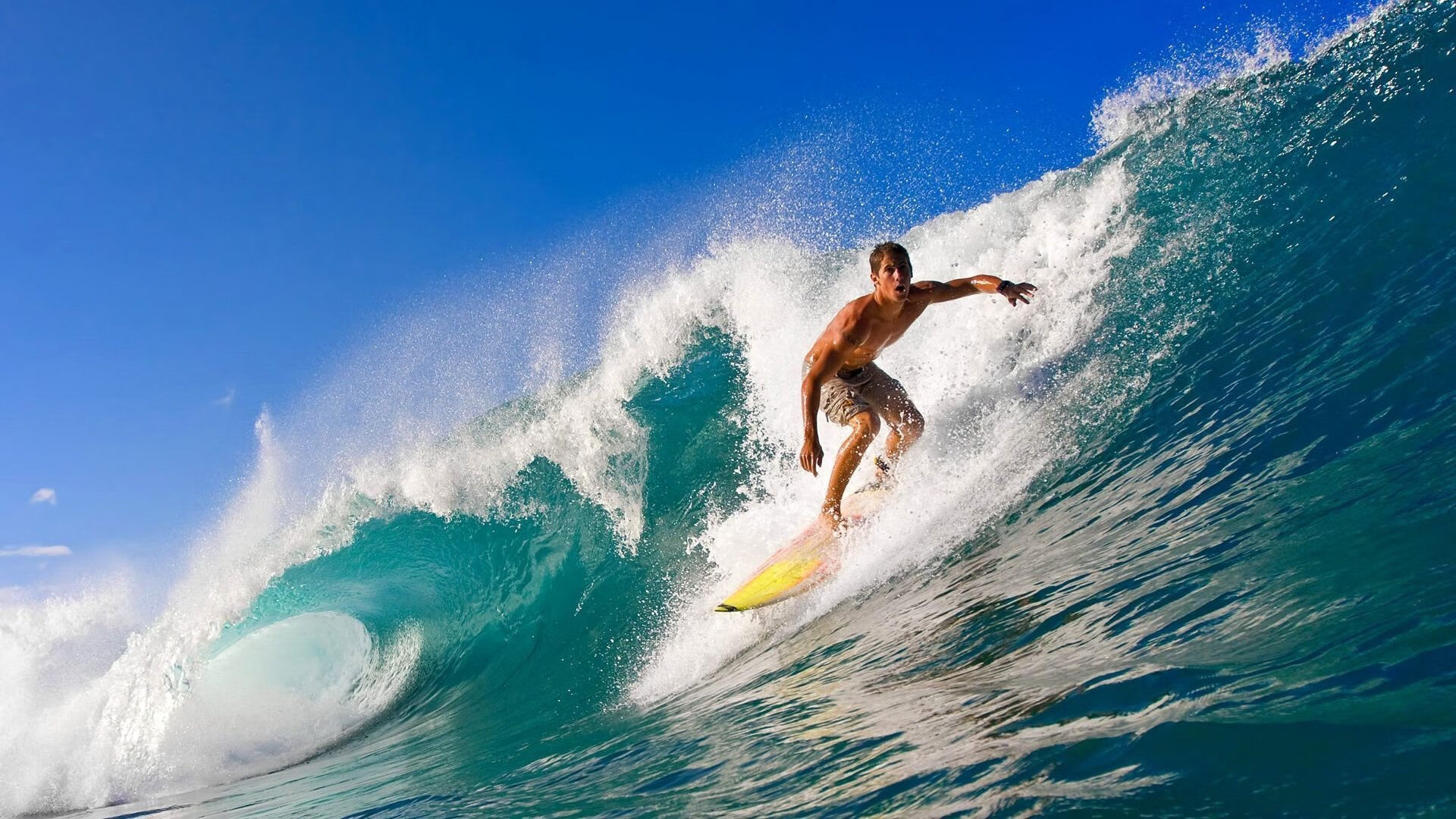 体育科技企业获得资本关注,体育科技企业获得资本关注的原因